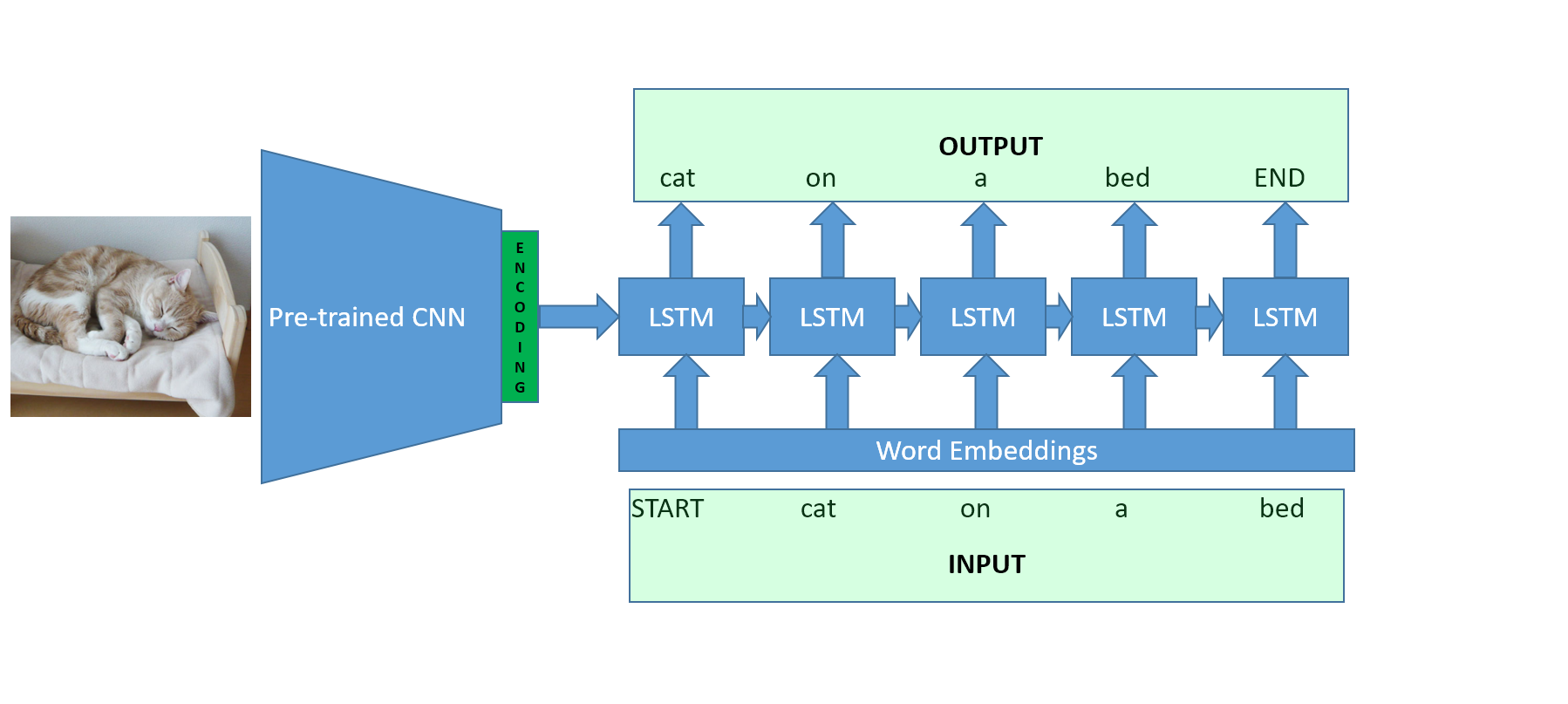 _config.yml